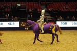 Quadrille - 00480